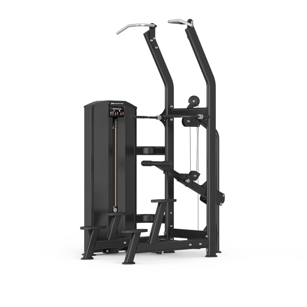 GF-008A Standing Chin/Dip Assist