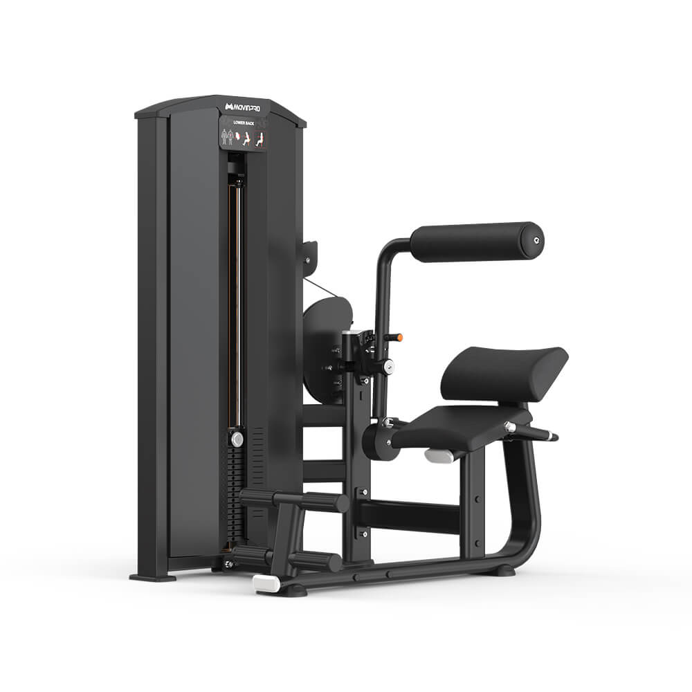 GF-009 Standing Lower Back