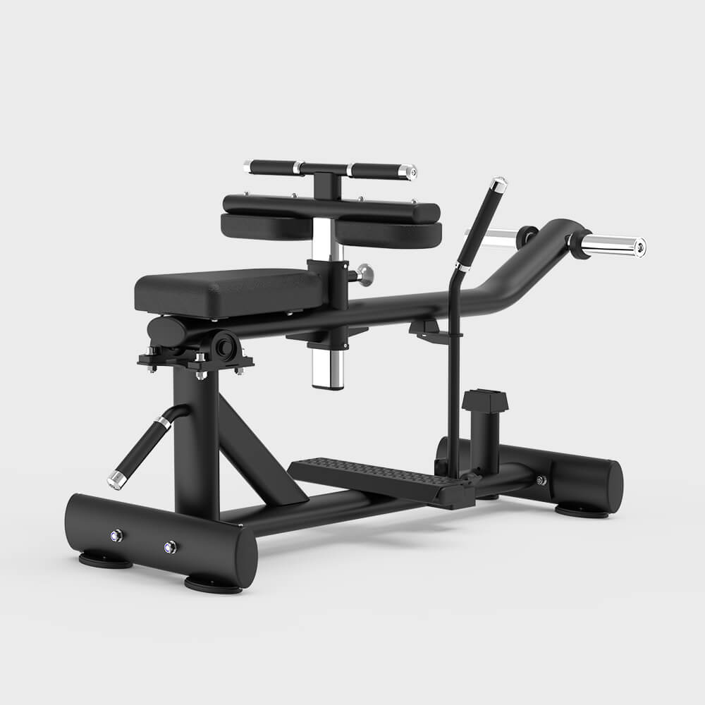 ZH-29 Seated Calf Machine