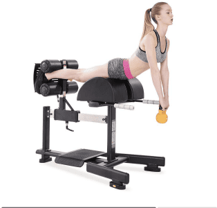 FT-002 Glute Ham Developer